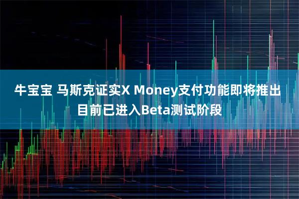牛宝宝 马斯克证实X Money支付功能即将推出 目前已进入Beta测试阶段