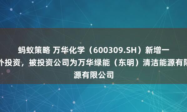 蚂蚁策略 万华化学(600309.SH)新增一起对外投资,被投资公司为万华绿能(东明)清洁能源有限公司