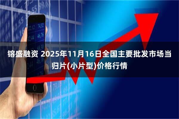 镕盛融资 2025年11月16日全国主要批发市场当归片(小片型)价格行情