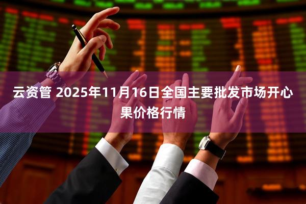 云资管 2025年11月16日全国主要批发市场开心果价格行情