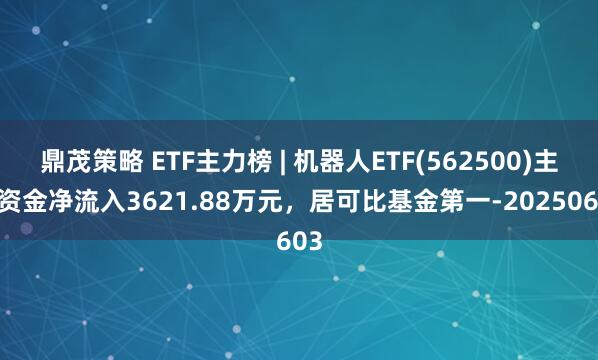 鼎茂策略 ETF主力榜 | 机器人ETF(562500)主力资金净流入3621.88万元，居可比基金第一-20250603