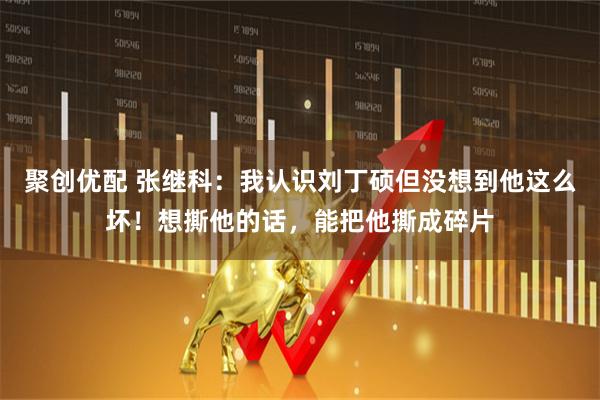 聚创优配 张继科:我认识刘丁硕但没想到他这么坏!想撕他的话,能把他撕成碎片